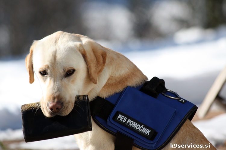Mobility Assistance